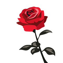 A Rose with the leaf in art  design for background illustration logo and imagge