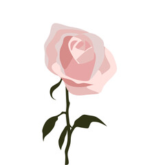 A Rose with the leaf in art  design for background illustration logo and imagge