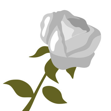A Rose with the leaf in art  design for background illustration logo and imagge