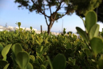 Naturaleza