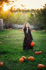 Cute little girl wearing  a Halloween costume outdoor surrounded  by real pumpkins 