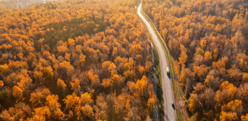 an autumn road stretching away to the horizon. Autumn forest landscape with orange foliage aerial drone top, atmospheric mood panorama