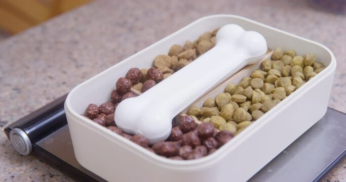 Cooking balanced meal of set of food for dog in lunch box. Dog weighs on scales portion of food. Calorie control for weight loss. Dog dry food. Personalized healthy food delivery. Catering service