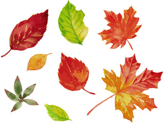 落ち葉の水彩画イラスト