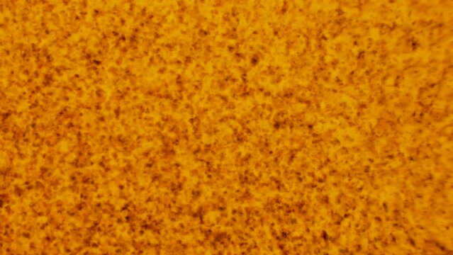 Surface Of The Sun Star Hot Yellow And Red Texture Of Blood Cells Microscopic View From Inside Body 
