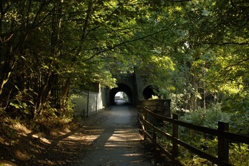 Forest path through tunnel