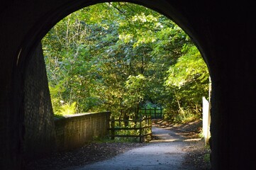 Path after the tunnel