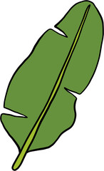 simplicity banana leaf freehand continuous drawing flat design.