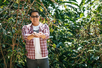 Asian agriculturist man showing fresh arabica coffee berries