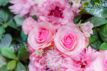 pink roses in a garden