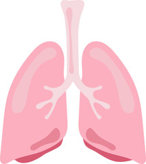 lung human internal organ anatomy vector illustration flat design