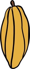 doodle freehand sketch drawing of cacao fruit.