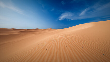 Obraz na płótnie Canvas Sahara desert landscape with wavy sand pattern 3D render image