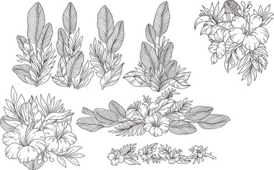 Black and white set of flowers hand drawn. illustration vector of  flower element.
