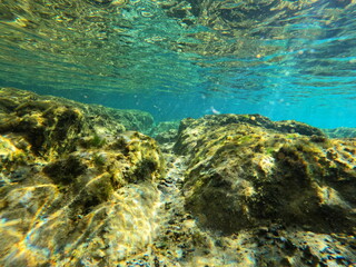 View of Hawaiian Rocks