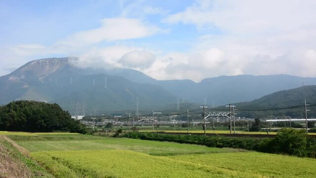 秋の近江路を走る313系普通列車と東海道本線N700A