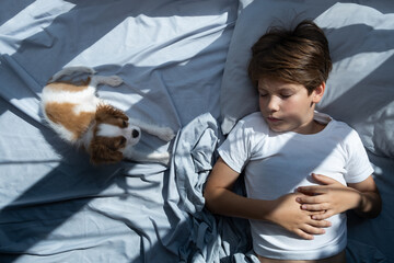 boy with a dog in an embrace lies in bed in morning. Sleep with pets. cute puppy cavalier king...