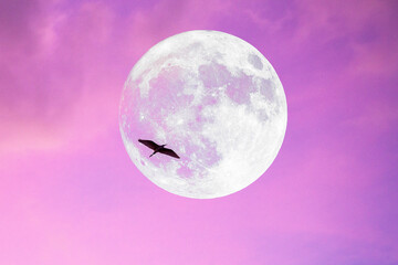 Family Reunion Day Concept: Chinese Traditional Festival Mid-Autumn Festival - moon at the night on the Mid-autumn Festival