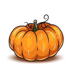 Orange pumpkin, different types of Cartoon pumpkins. halloween, fall harvest gourds. Pumpkins, squash and leaves vector symbols illustrations. Autumn thanksgiving and halloween pumpkins
