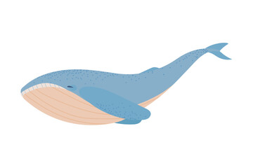 Obraz premium blue whale icon