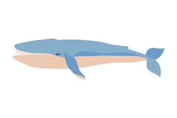 whale vector icon