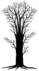Black silhouette of spooky tree with leafless branches, halloween element.