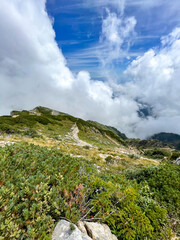 唐松岳　登山道