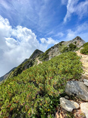 唐松岳　登山道
