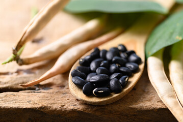 Black kidney bean seed in spoon on wooden background