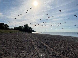 Hamlin State Park