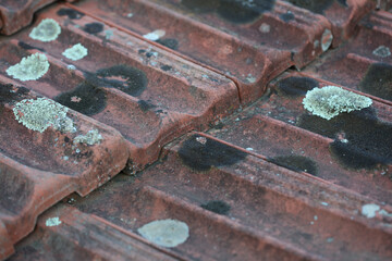 Old roof tiles with lichens closeup vintage background high quality big size print