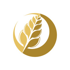 Wheat logo template vector icon