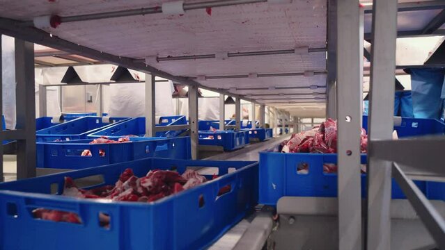  A crate of meat moves along a line tape at a meat factory