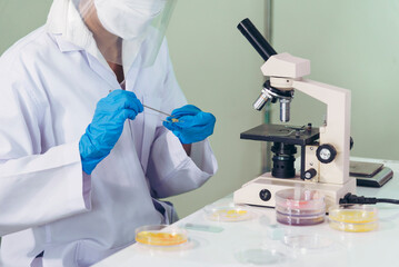 Fototapeta premium Close up Scientist woman hands look at Glass Petri Dish use Microscope research in science laboratory. Crop women hands biochemistry scientist using fungi Glass Petri Dish in laboratory chemistry lab