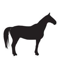 silhouette of a horse