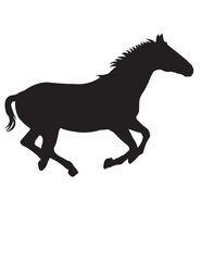 Fototapeta na wymiar silhouette of a horse
