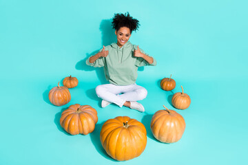 Full length photo of pretty confident lady wear sweatshirt growing pumpkins showing thumbs up isolated turquoise color background