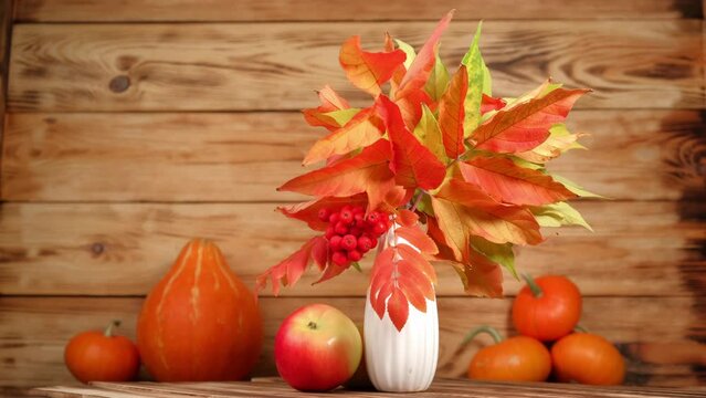 bouquet of autumn leaves and rowan berries in white vase on table with apples rotates against the background of wooden wall with pumpkins. thanksgiving day. bright festive autumn background. 4k.
