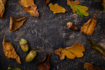 Autumn background with dry leaves.