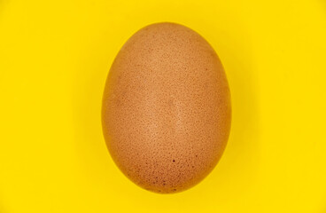 A fresh Egg isolated on yellow background