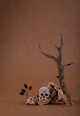 Autumn fall modern still life