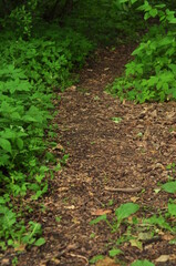 Nature - the material world of the universe, in essence - the main object of study of the natural sciences. In everyday life, the word 