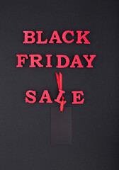 Black friday sale. Shopping concept