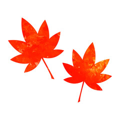 きれいな紅葉の葉っぱ