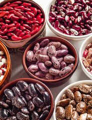 Ceramic bowls with different organic beans. Scarlet runner, kidney, anasazi, pinto beans. Plant foods rich in protein.