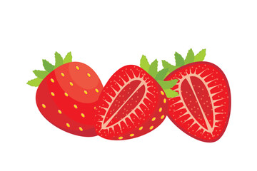 Strawberry fruit. Strawberry fruit vector. Illustration of red fruits from tropical plants