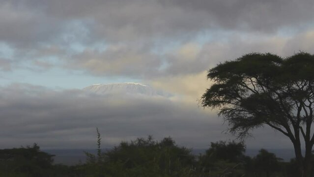 Mt. Kilimanjaro appearing from clouds