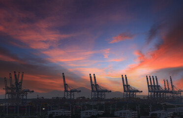 Harbor view and morning light.