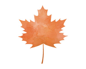 手描き水彩風・秋の葉のイラスト　サトウカエデ　紅葉