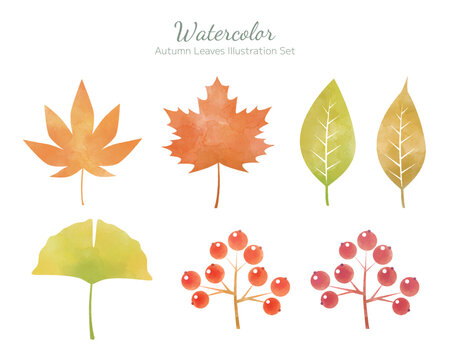 手描き水彩風・秋の葉のイラストセット